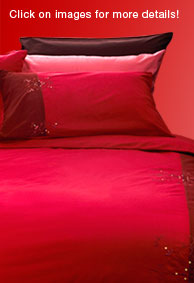 Bed with Red Beddings