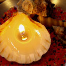 Cocoon Latest Article - Homework - How to Make Seashell Tea Candle