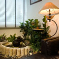 Water Feature