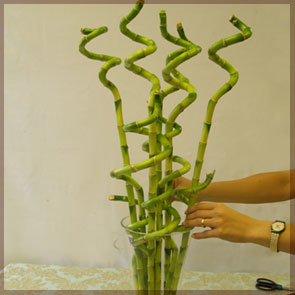 Home Handicraft: Remaining 5 Stems Placed into Grid