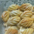Cocoon Latest Article - Tastebuds