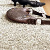 Carpets and Rugs - Ling Carpets