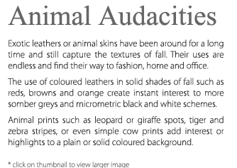 Animal Audacities Description