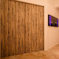 Manhattan Style Furniture and Furnishings: Zebra Feature Door