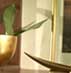 Resort Interior Design: Solid Teak Walk-in Wardrobe