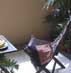 Resort Interior Design: Tropical Resort-feel Balcony