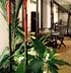 Heritage Interior Design - Courtyard at Night