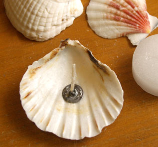 Home Decor and Handicraft: Place wick in center of the seashell
