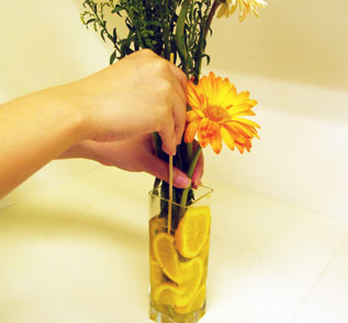 Home Decor and Handicraft: Arrange the orange slices along the sides of the vase