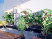 Interior Design & Renovation