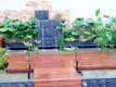 Interior Design & Renovation