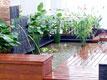 Interior Design & Renovation