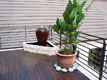Interior Design & Renovation