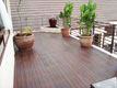 Interior Design & Renovation