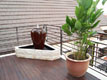 Interior Design & Renovation