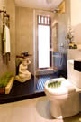 Interior Design & Renovation