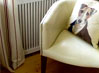 Cleaning | Upholstery & Curtain Cleaning