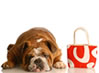 Home Related Services | Pet Shops