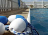 Swimming Pool | Swimming Pool Equipment & Supplies